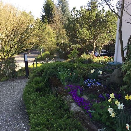Traumhafte See- und Alpensicht Uberlingen Exterior foto
